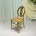 resin-louis-xvi-chair-hollow-carved-pattern-back (2)